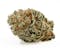 White CBG flower